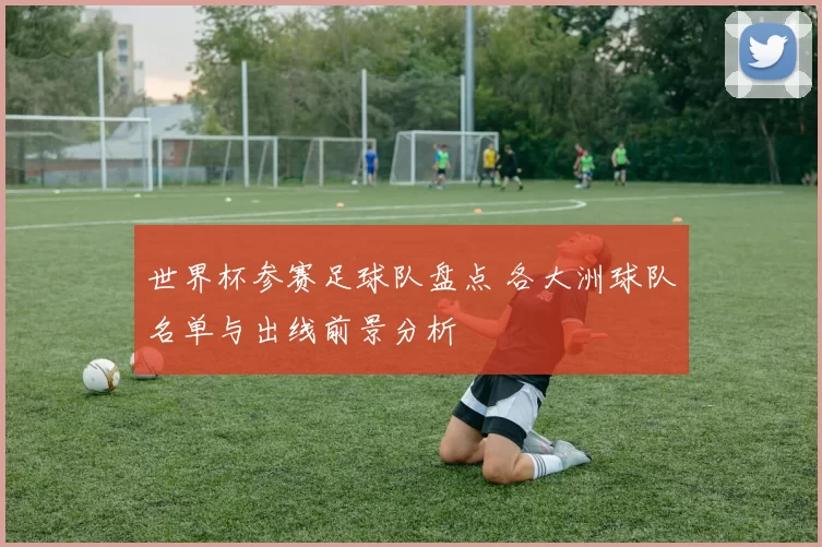 世界杯参赛足球队盘点 各大洲球队名单与出线前景分析